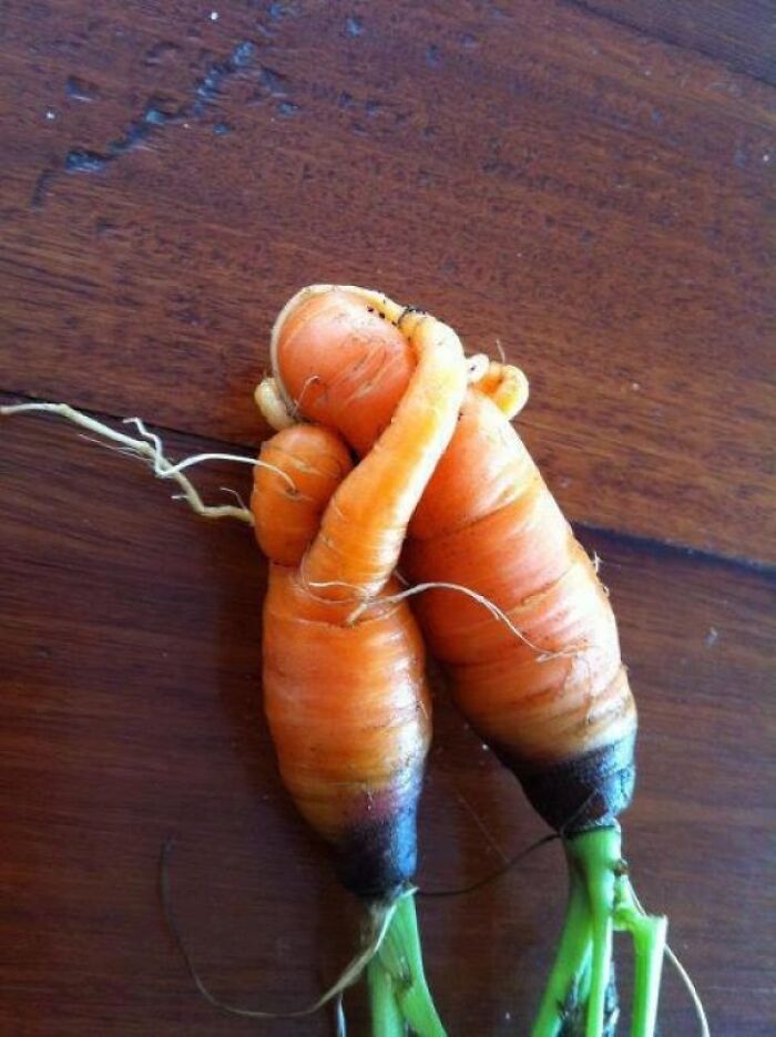 She Thought He Did Not Carrot All, But He Bought Her 21-Carrot Ring