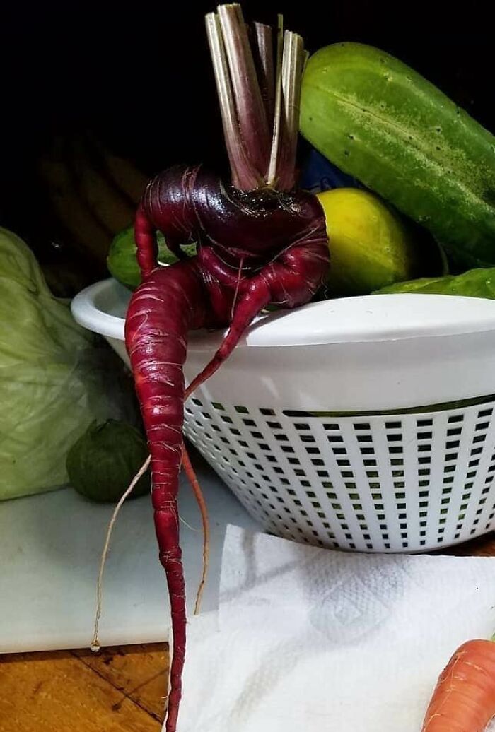 This Purple Carrot Looks Like A Bartender Ready To Take Your Drink Order And Listen To Your Troubles