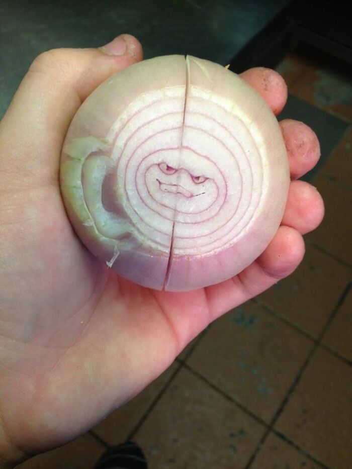 A Rather Sinister Onion