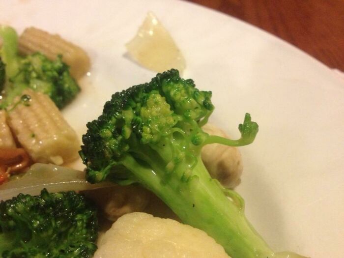 F**k You Too, Broccoli