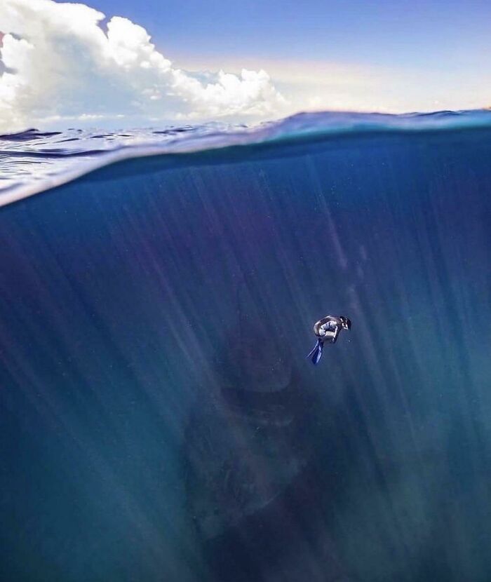 Thalassophobia And Submechanophobia Combined Into One Photo