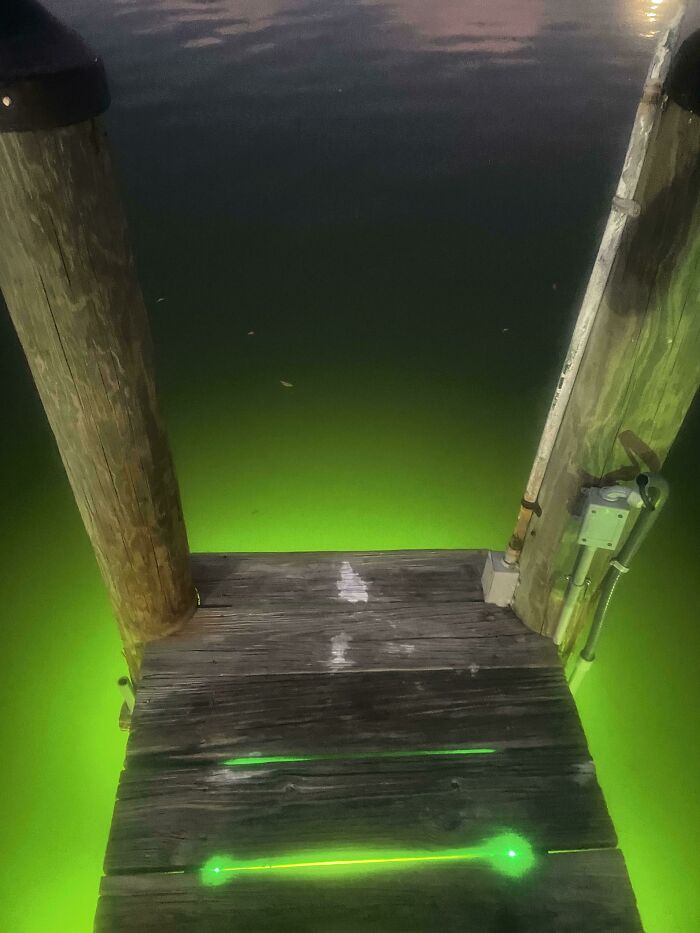 This Creepy Dock I Was On Tonight