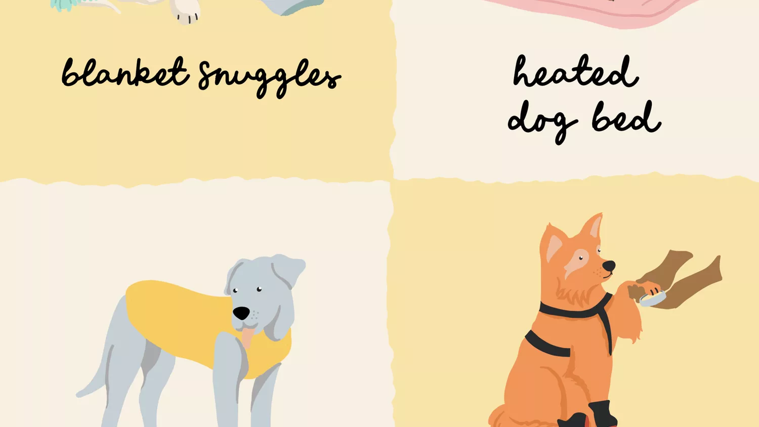 Infographic with 6 ways to keep your dog warm in winter, blankets, heated dog beds, sweaters, boots, balm, grooming, indoor games.