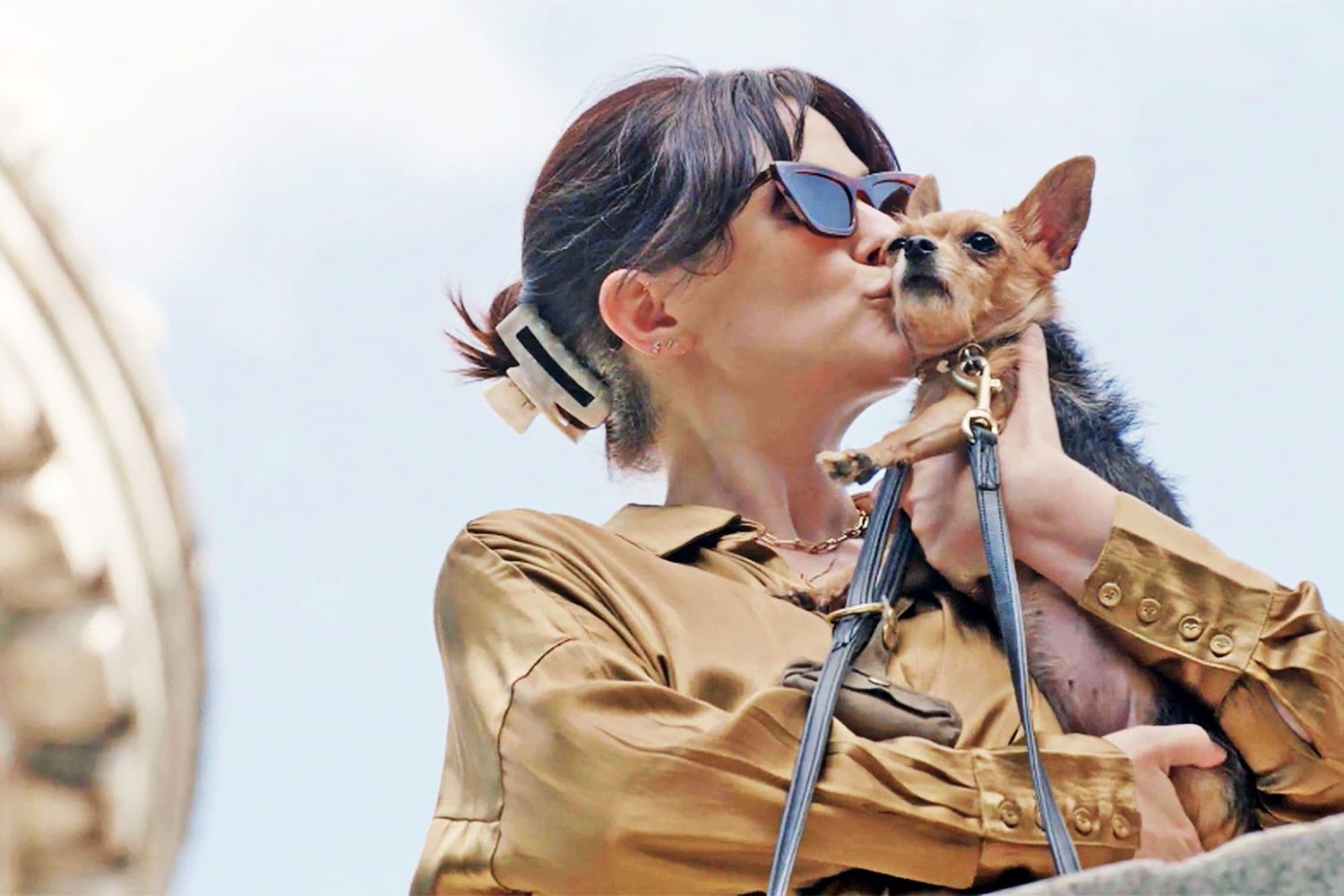 Meet Rio, a Courageous Chorkie Who Quickly Adapted to Sudden Blindness