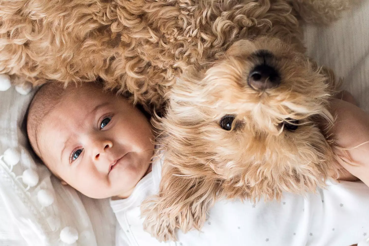 baby with dog