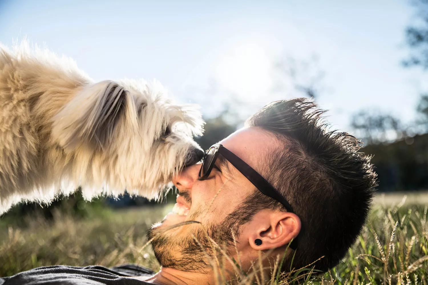 dog plays with man on grass