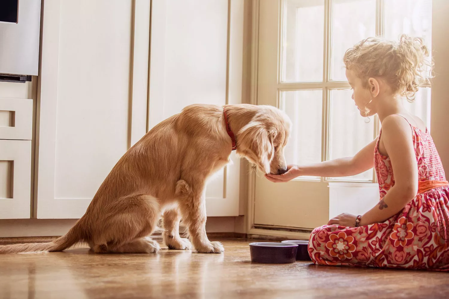 young girl sitting on the kitchen floor hand feeding her dog who won't eat