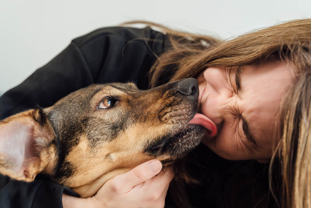 Why Do Dogs Lick Your Face? (The Answer May Surprise You) - Pet News Daily