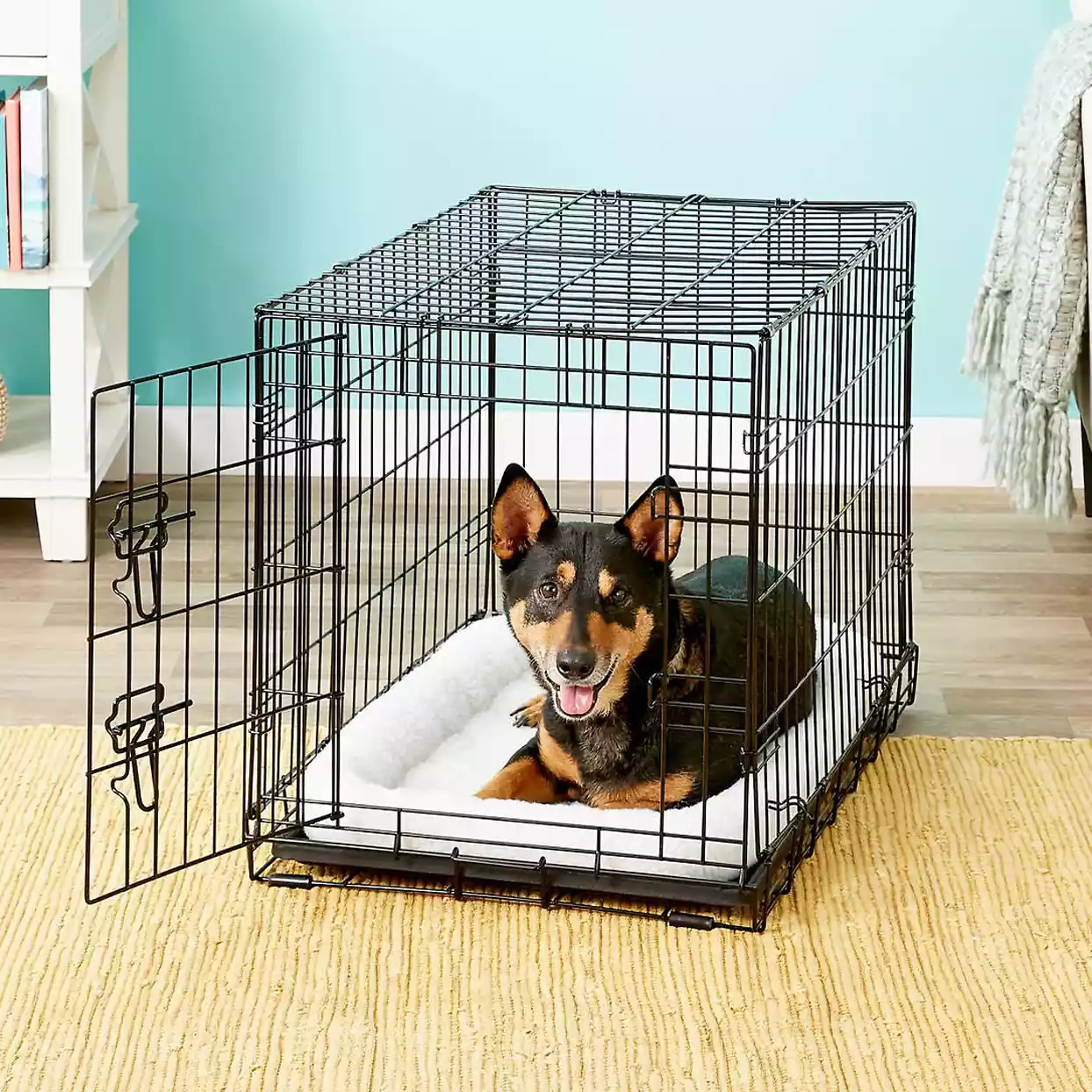 frisco-fold-and-carry-single-door-collapsible-wire-dog-crate