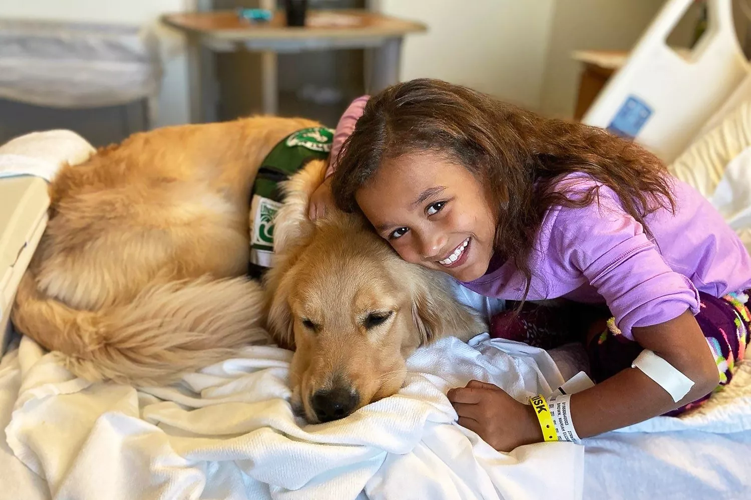 Golden Retriever on hospital bed with young girl