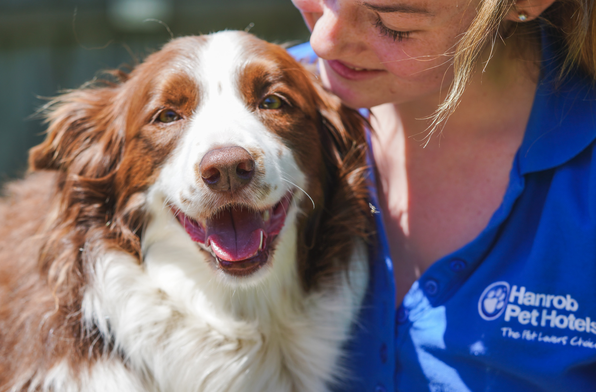 10 Signs your Dog is Happy - Tramsheds