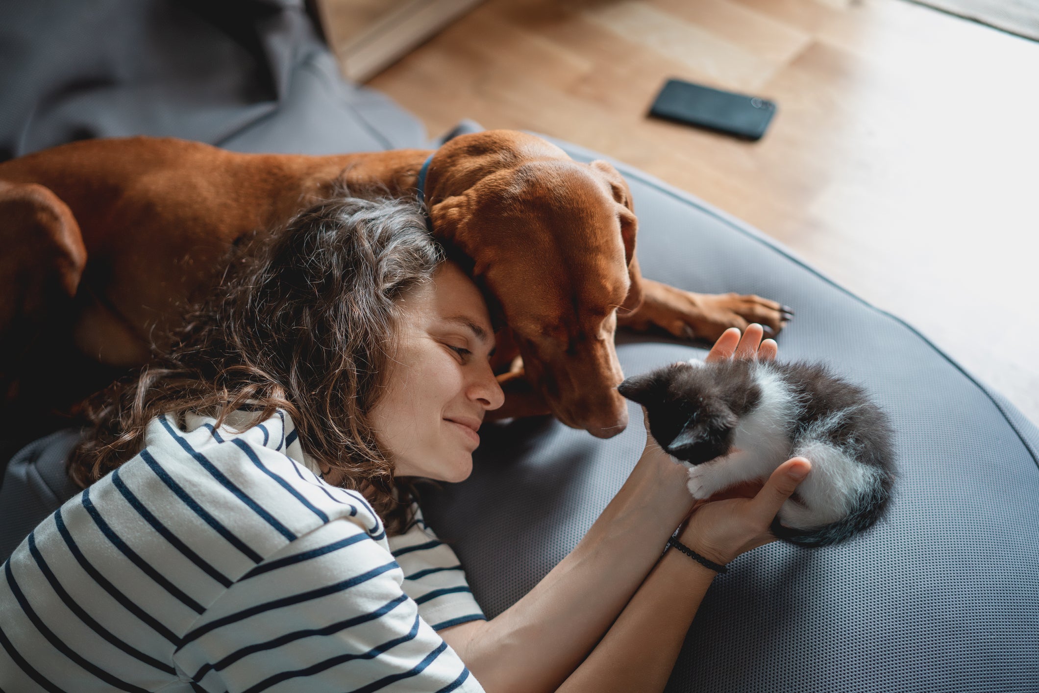 <p>Bill aims to ensure landlords can not “unreasonably” block tenants’ requests to have pets. </p>