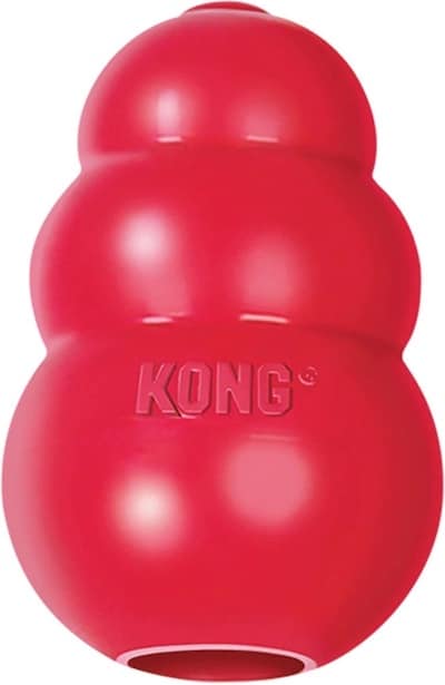 durable classic KONG dog toy