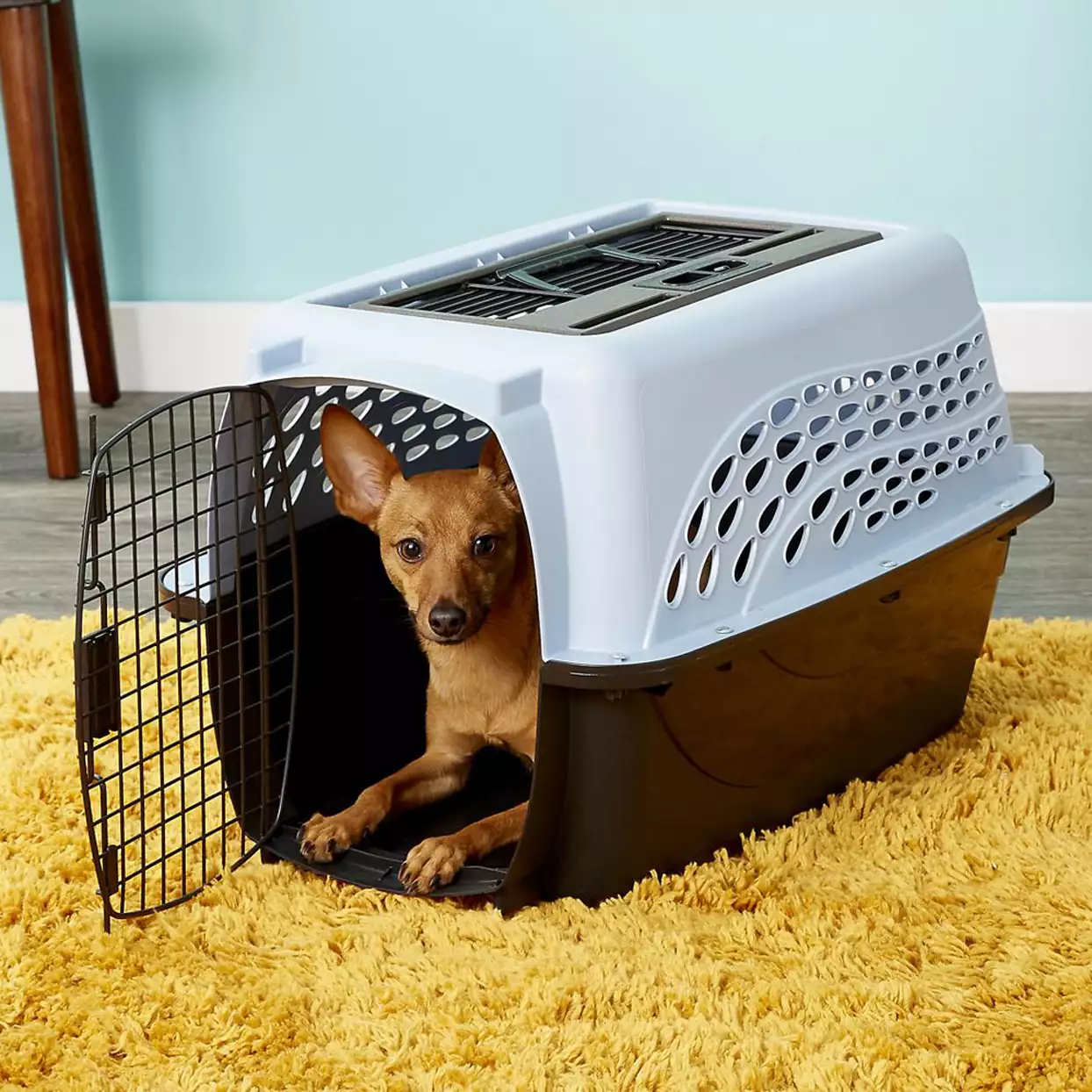 petmate-two-door-top-load-dog-and-cat-kennel