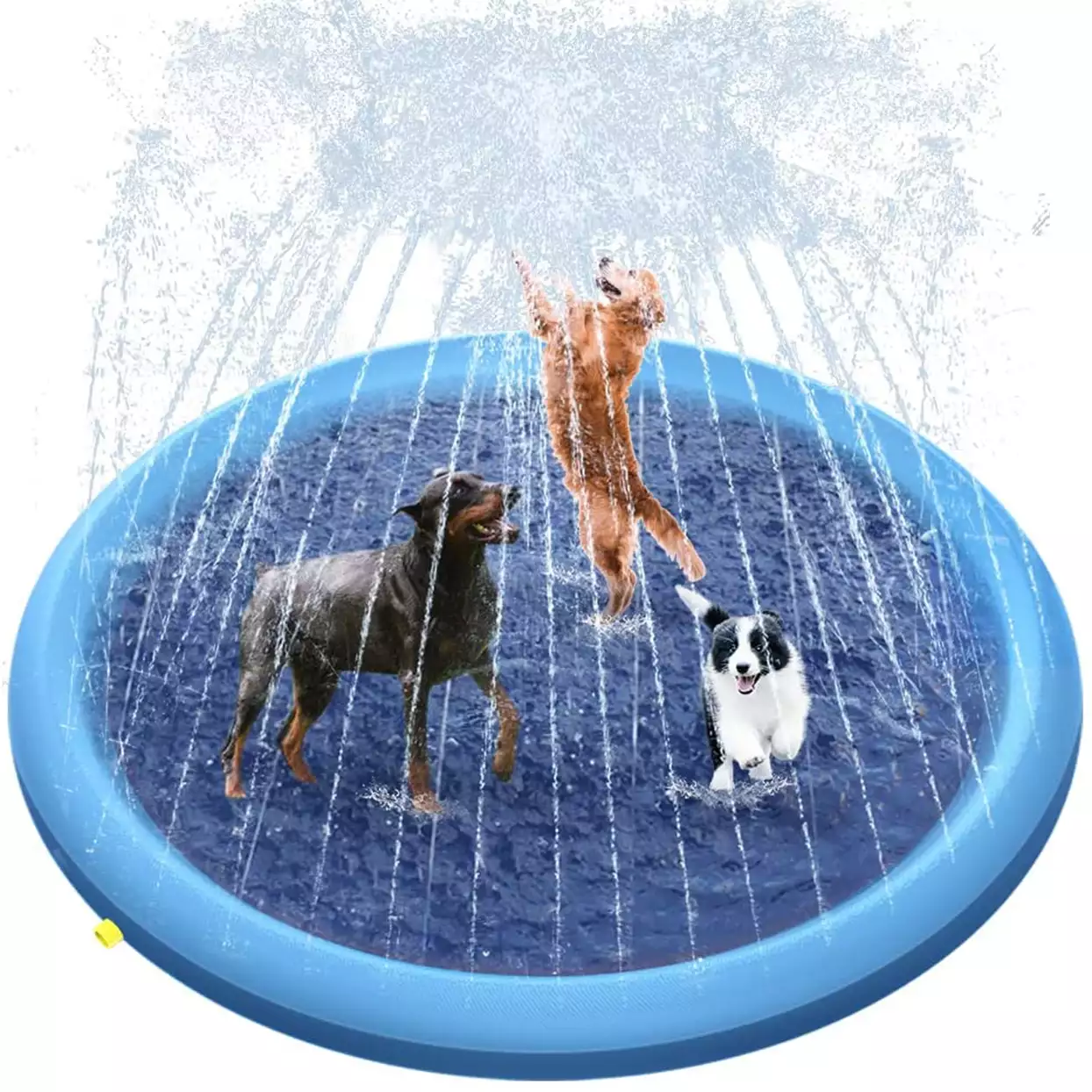 raxurt dog splash pad