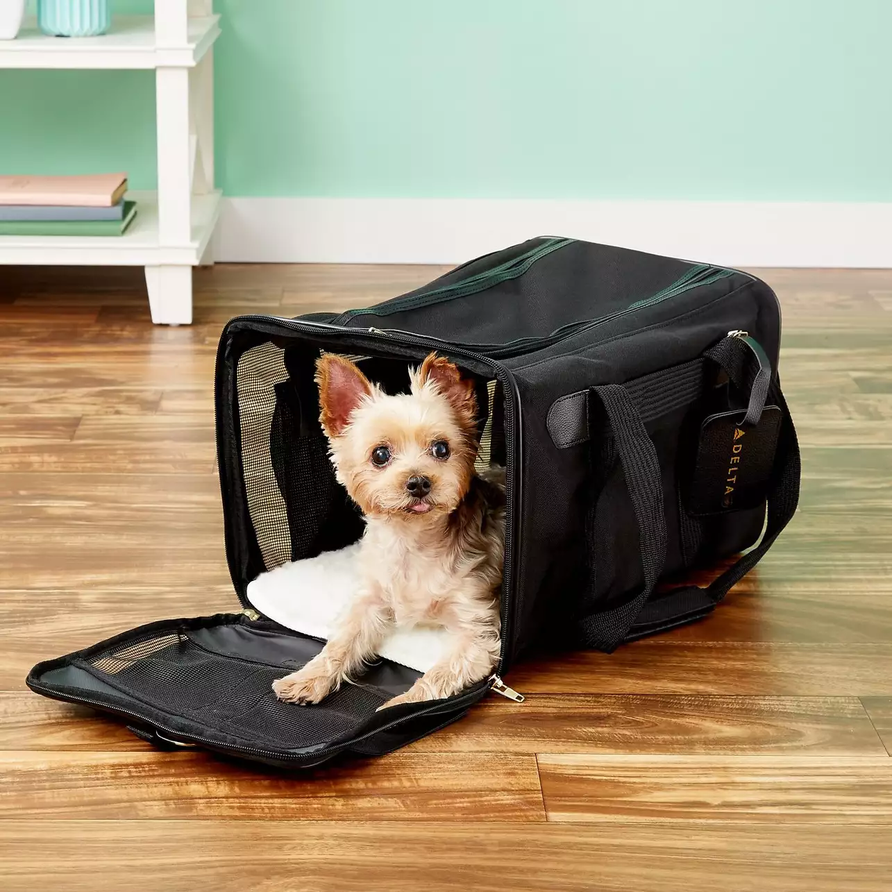 sherpa-delta-airline-approved-dog-and-cat-carrier-bag