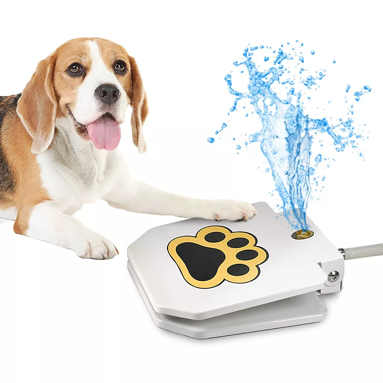 videosystem dog fountain sprinkler