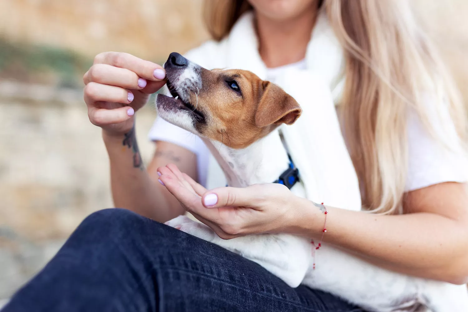 woman hand feeding her dog