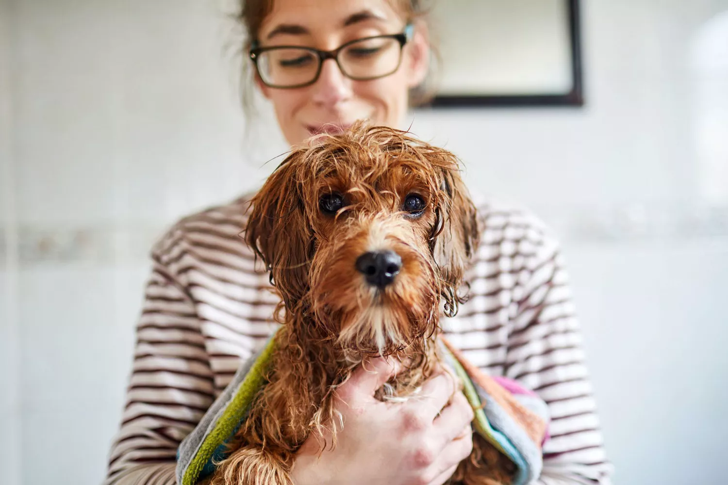 woman holding wet dog wrapped in towel after bath