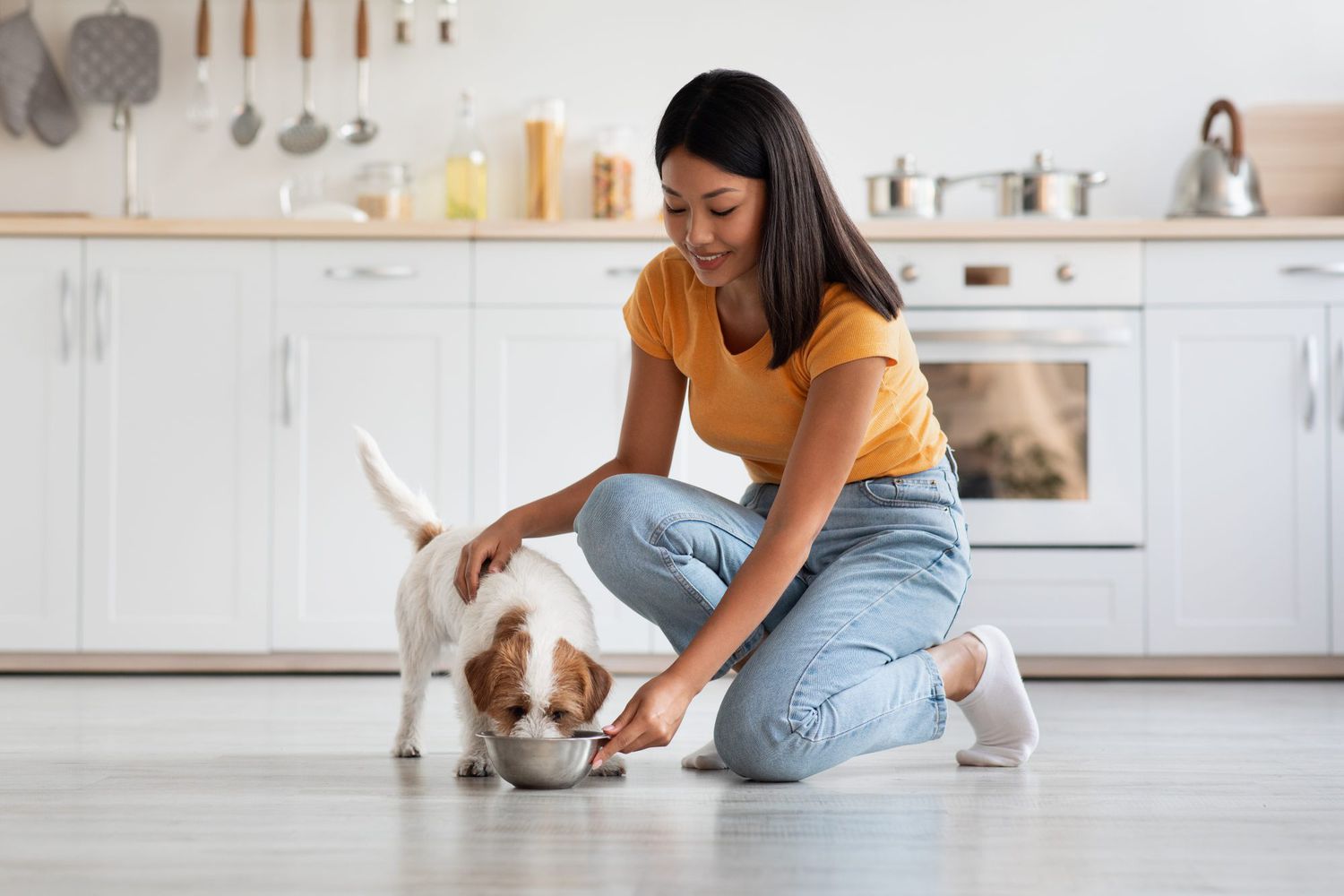 How Often Should I Feed My Dog? Here's a Vet's Advice