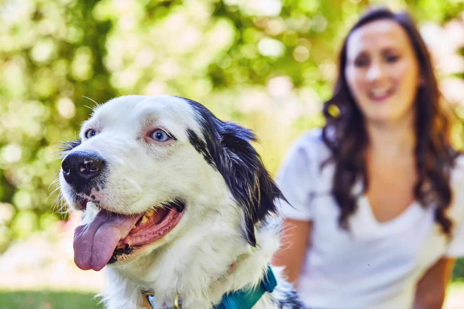 woman with dog outdoors; worms in dogs